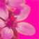 Mirella_S Mirella_S