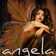 ANGOLINA ANGOLINA