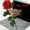 sofi_loutraki sofi_loutraki