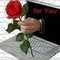 sofi_loutraki sofi_loutraki