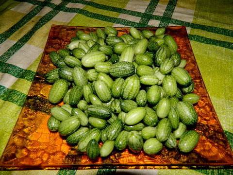 Рецепты мелотрия