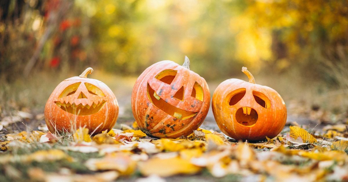 Citrouille d’Halloween : comment la creuser, la sculpter et la conserver