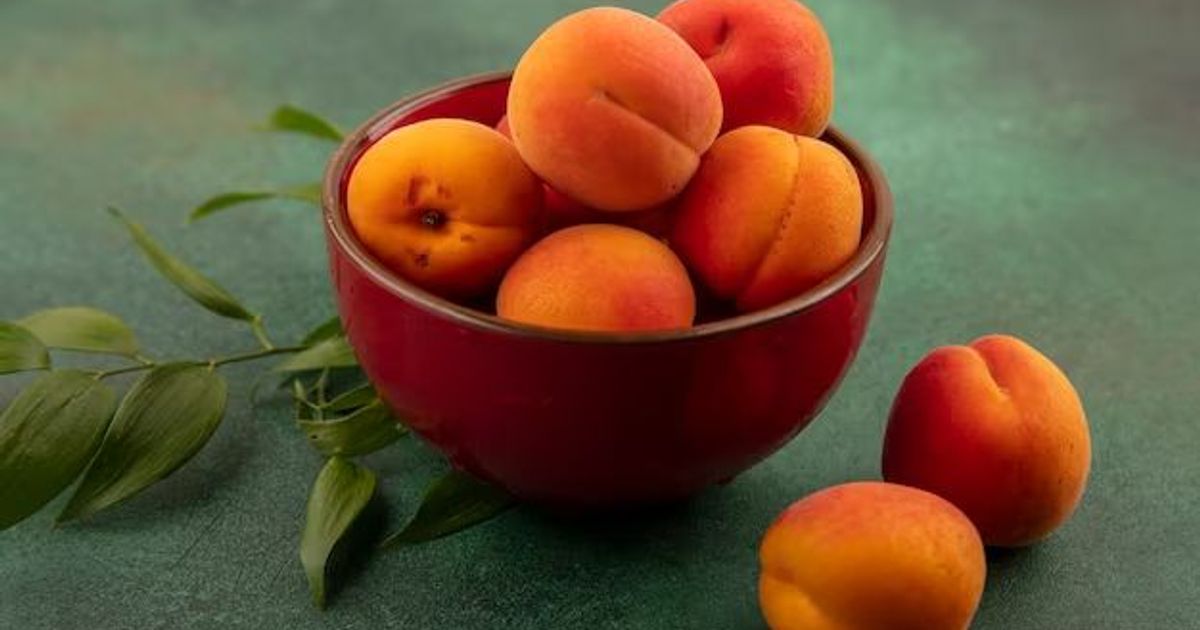 Cuisiner avec des abricots : recettes faciles et délicieuses
