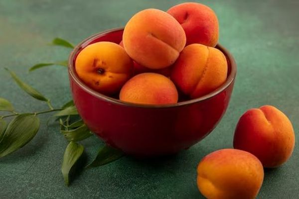 Cuisiner avec des abricots : recettes faciles et délicieuses