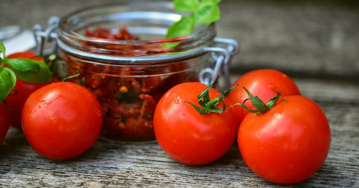 Cuisiner les tomates en fin de saison : idées savoureuses et astuces