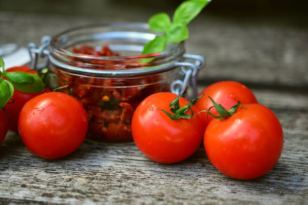 Cuisiner les tomates en fin de saison : idées savoureuses et astuces