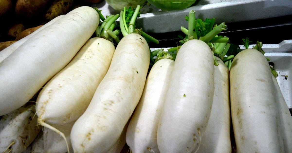 冬天蘿蔔賽人參！白蘿蔔這樣料理最營養