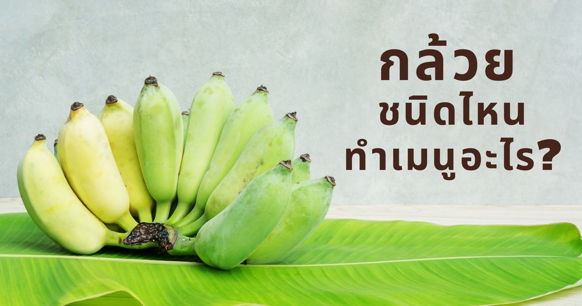รู้จักกล้วยชนิดต่างๆ และเมนูกล้วยอร่อยที่น่าลองทำ