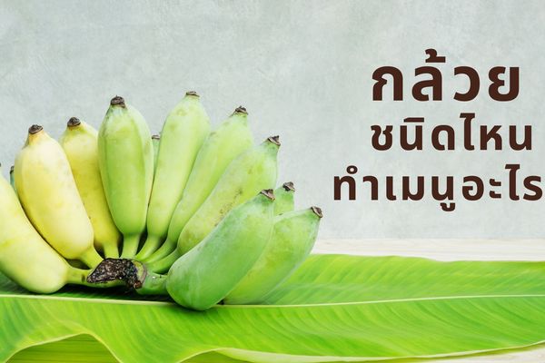 รู้จักกล้วยชนิดต่างๆ และเมนูกล้วยอร่อยที่น่าลองทำ