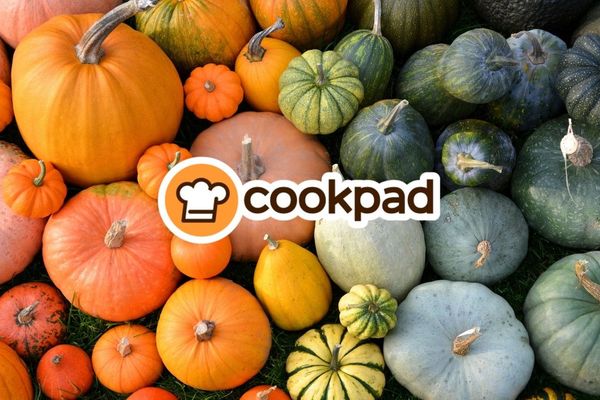 10 recettes faciles à base de courges pour régaler votre automne