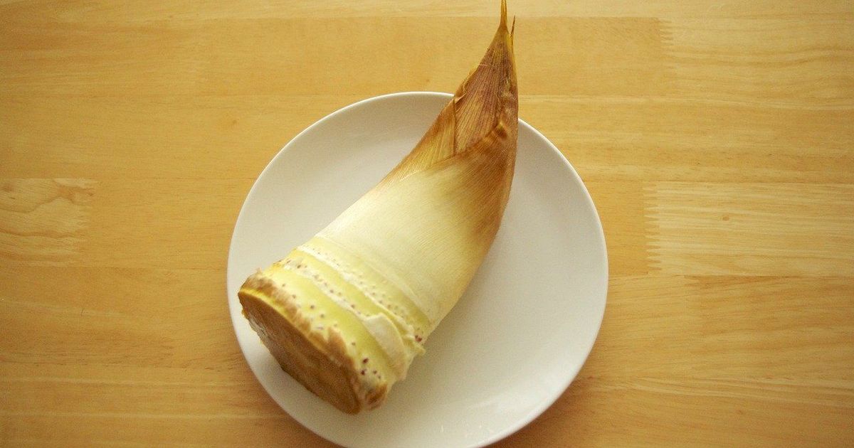 筍子怎麼挑？怎麼煮？必看竹筍料理知識懶人包！