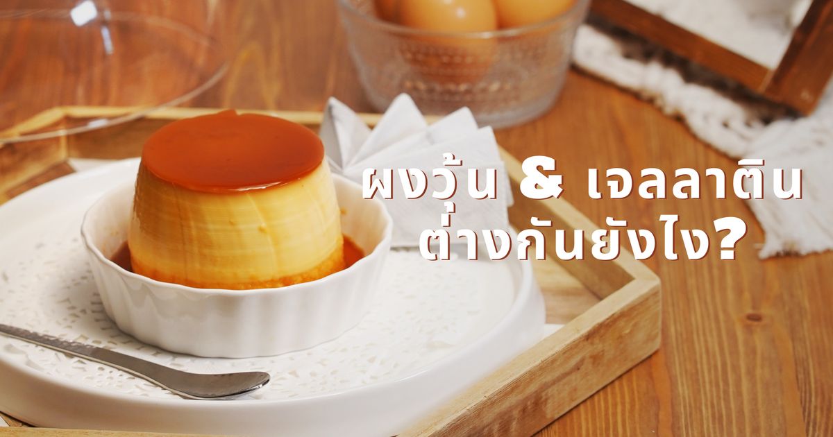 รวมสูตรเมนูพุดดิ้ง พร้อมตอบปัญหาเจลาตินกับผงวุ้นต่างกันยังไง