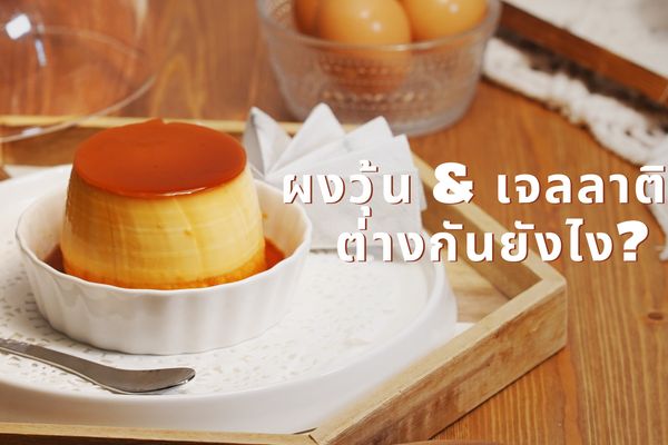 รวมสูตรเมนูพุดดิ้ง พร้อมตอบปัญหาเจลาตินกับผงวุ้นต่างกันยังไง