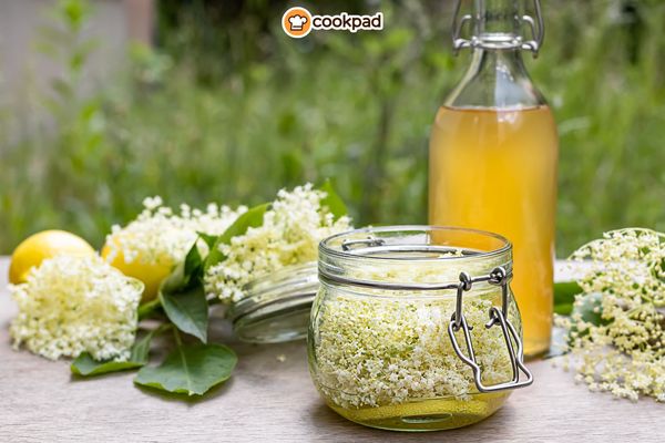 Elderflower Recipes & Foraging Tips: How to Use This Spring Blossom