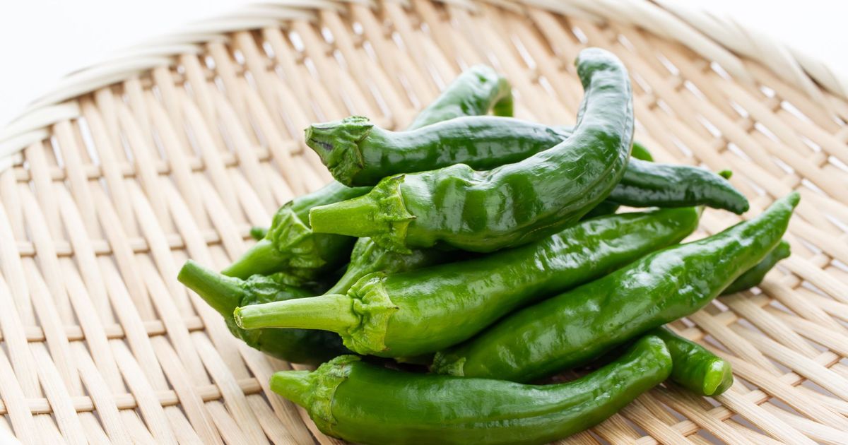 糯米椒怎麼吃？不辣的青龍辣椒料理一次看懂
