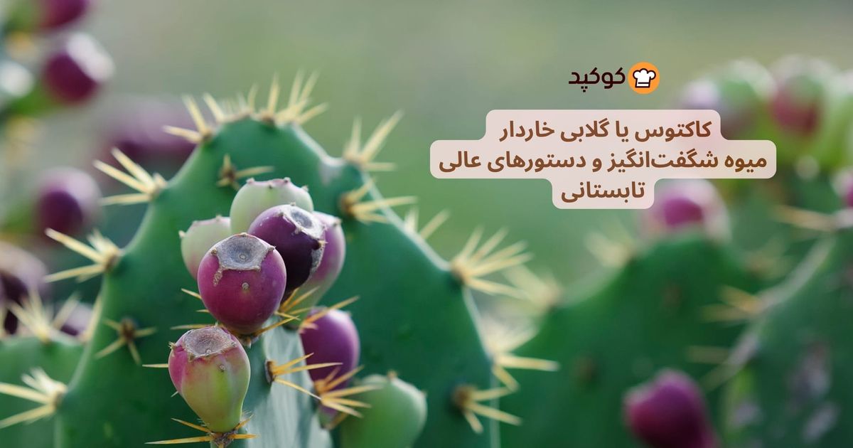 میوه کاکتوس (گلابی خاردار)! خواص شگفت‌انگیز و ۱۰ دستور خوشمزه تابستانی