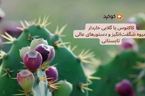 میوه کاکتوس (گلابی خاردار)! خواص شگفت‌انگیز و ۱۰ دستور خوشمزه تابستانی
