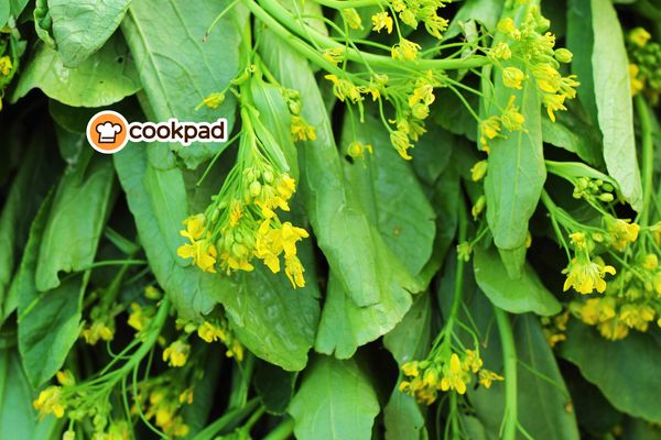Hoa cải ngồng có ăn được không? Cải ngồng làm món gì ngon, dễ nấu tại nhà?