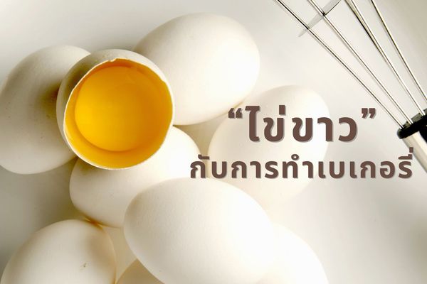 รวมสูตรขนม และเบเกอรี่จากไข่ขาว ประโยชน์เน้นๆ ทำกินเองได้ที่บ้าน