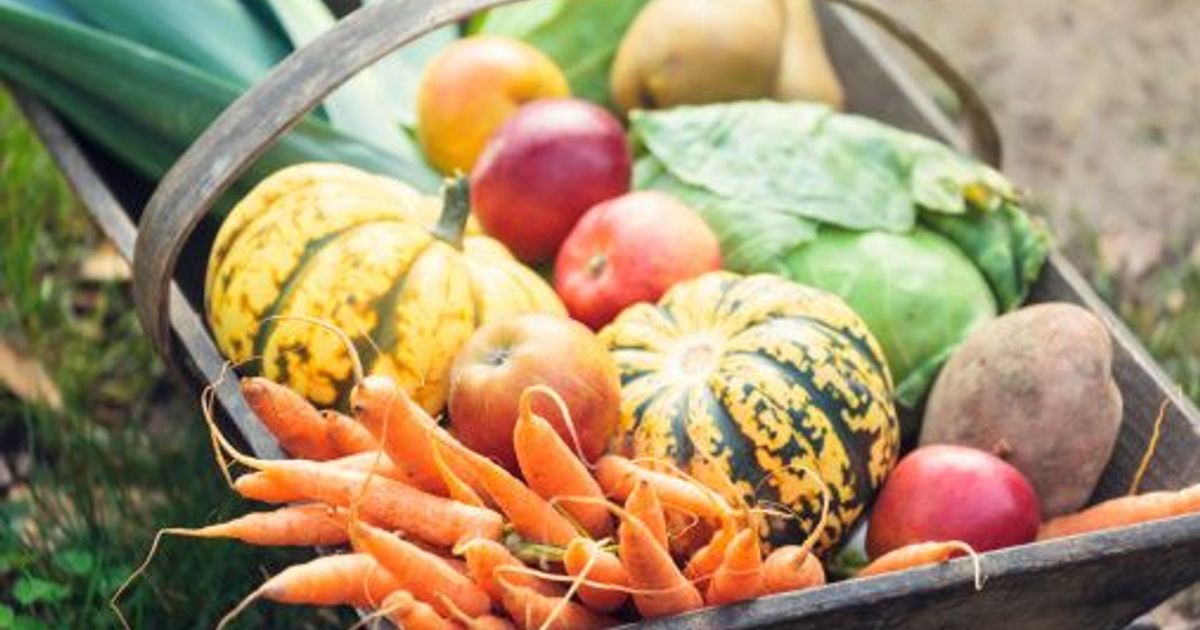 Quels sont les produits de saison à savourer en automne ?