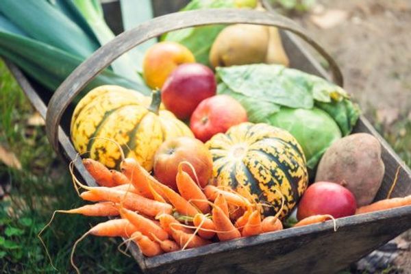 Quels sont les produits de saison à savourer en automne ?