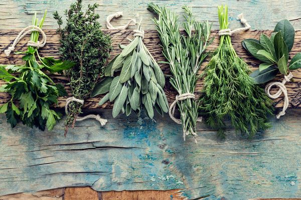 The Best Ways to Cook with Herbs🌱