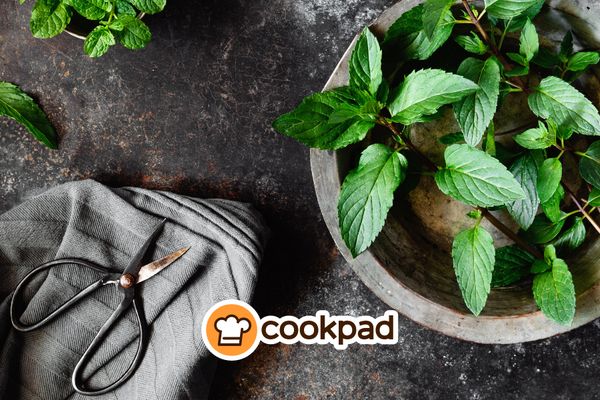 Cooking with Mint: the most refreshing herb!🌿