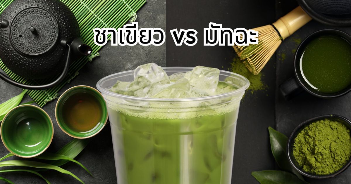 ชาเขียว vs มัทฉะ ต่างกันยังไง? เลือกใช้ให้ถูกเมนู ทั้งเครื่องดื่มและขนมในกระแส