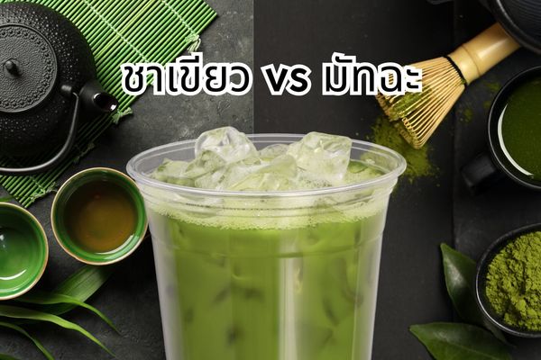 ชาเขียว vs มัทฉะ ต่างกันยังไง? เลือกใช้ให้ถูกเมนู ทั้งเครื่องดื่มและขนมในกระแส