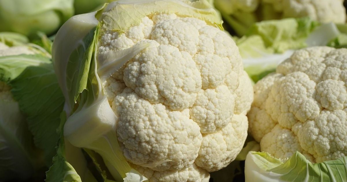 花椰菜的熱量、營養，以及完整清洗方式，超夯花椰菜米食譜及其他美味作法必看！