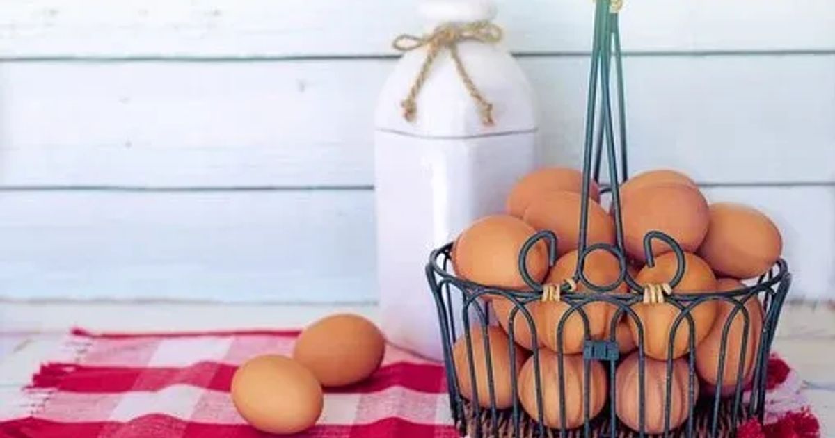 🥚Les œufs, faites-en tout un plat !