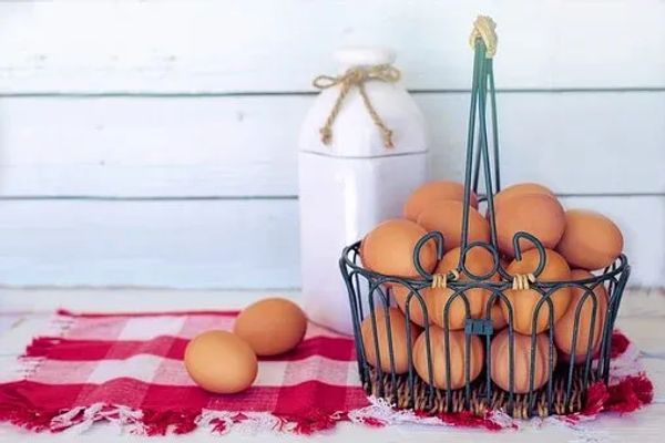 🥚Les œufs, faites-en tout un plat !