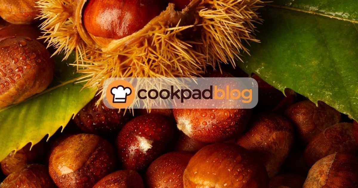 🌰 Tout savoir sur les châtaignes : préparation, cuisson et idées recettes