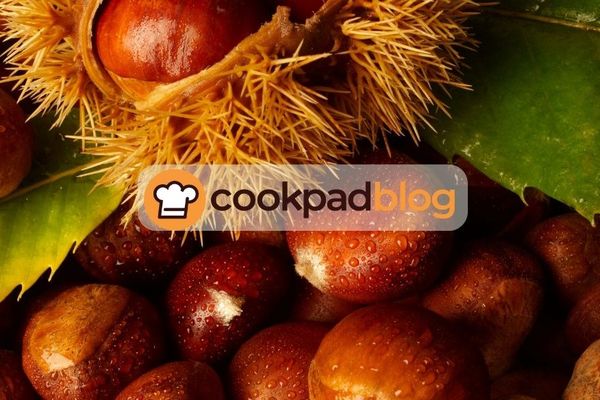 🌰 Tout savoir sur les châtaignes : préparation, cuisson et idées recettes