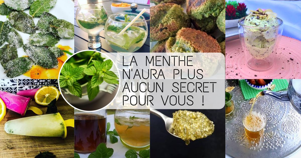 -🌿LA MENTHE : SAISON, RÉCOLTE, RECETTE-