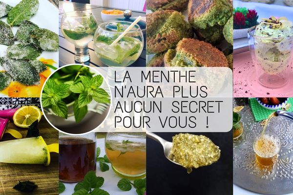 -🌿LA MENTHE : SAISON, RÉCOLTE, RECETTE-