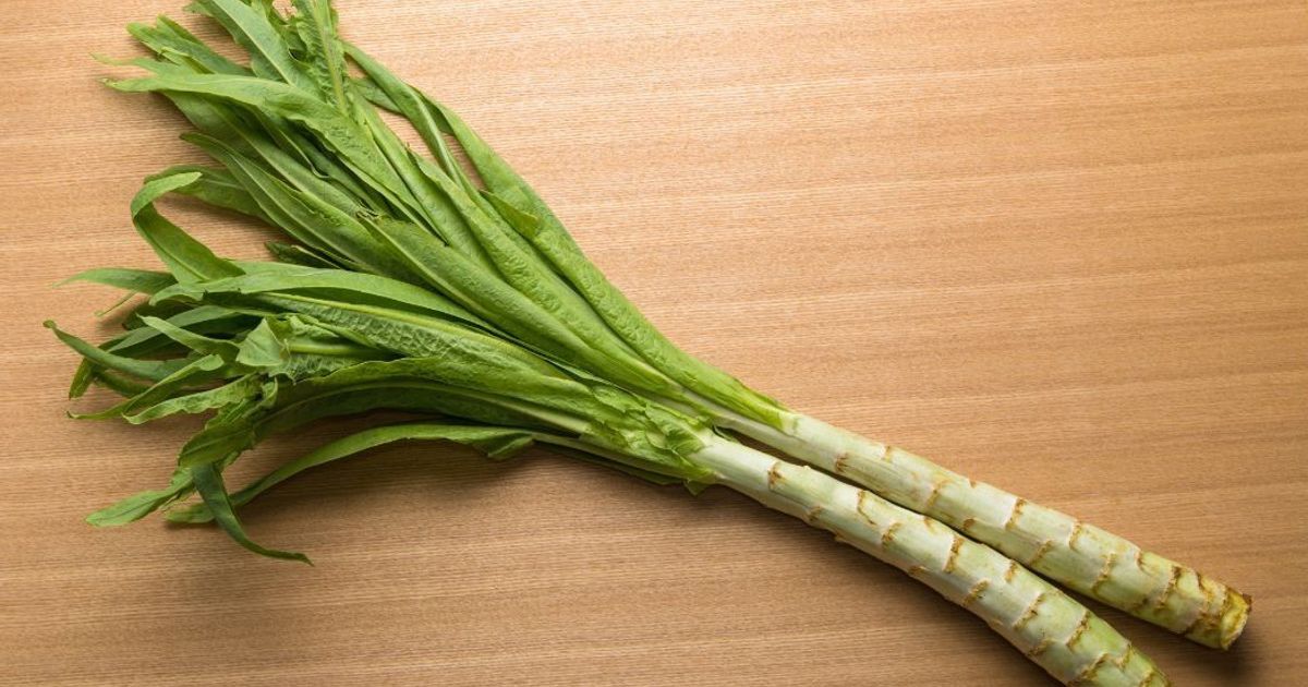 萵筍怎麼吃最脆甜？教你挑選秘訣與保存技巧＋8 篇家常料理方式