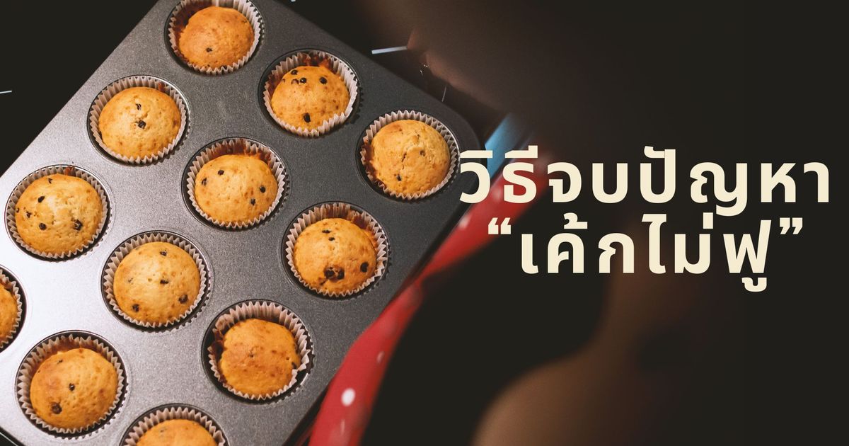 รวมสูตรเค้กง่ายๆ สําหรับมือใหม่ และวิธีแก้ปัญหาเรื่องการอบเค้กที่พบบ่อย