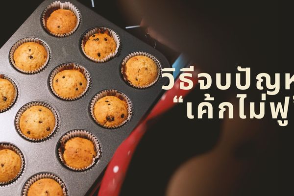 รวมสูตรเค้กง่ายๆ สําหรับมือใหม่ และวิธีแก้ปัญหาเรื่องการอบเค้กที่พบบ่อย