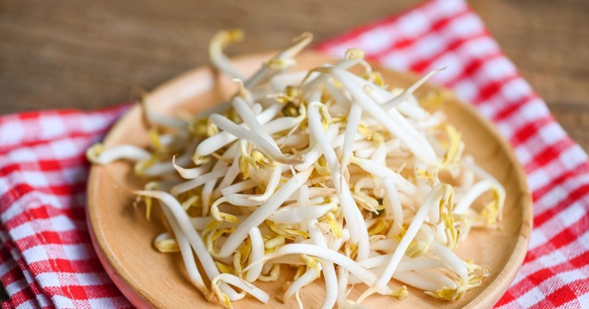豆芽菜全攻略：從挑選到料理的全面指南