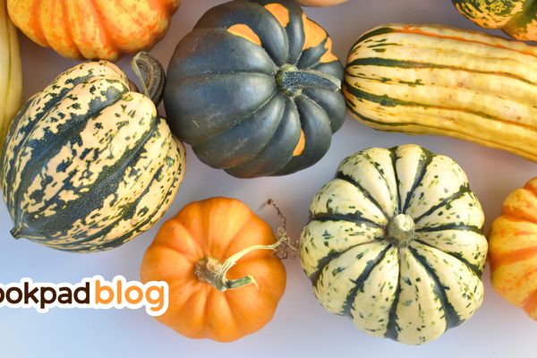 5 Winter Squashes to try this fall that aren't pumpkins