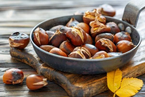 Châtaignes ou marrons ?