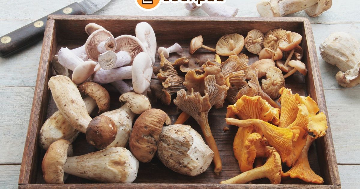 Guide to Wild Mushrooms: Chanterelle, Puffball & More