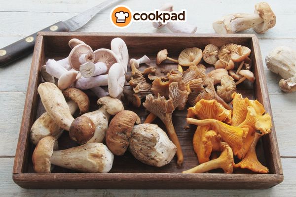 Guide to Wild Mushrooms: Chanterelle, Puffball & More