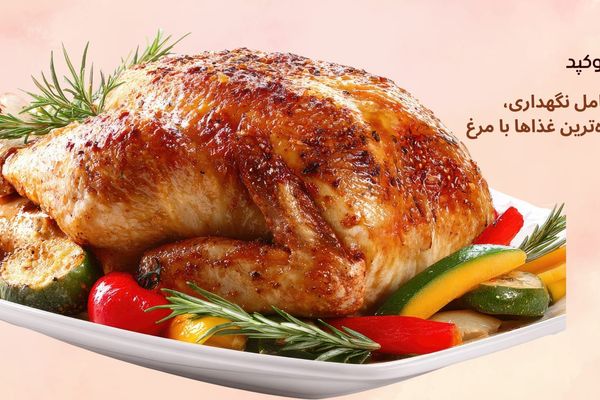 راهنمای کامل نگهداری، پخت و خوشمزه‌ترین غذاها با مرغ | نکات مهم برای حفظ کیفیت،طعم و سلامت مرغ