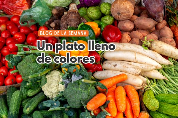 Verduras en la cocina uruguaya: recetas saludables y clásicas