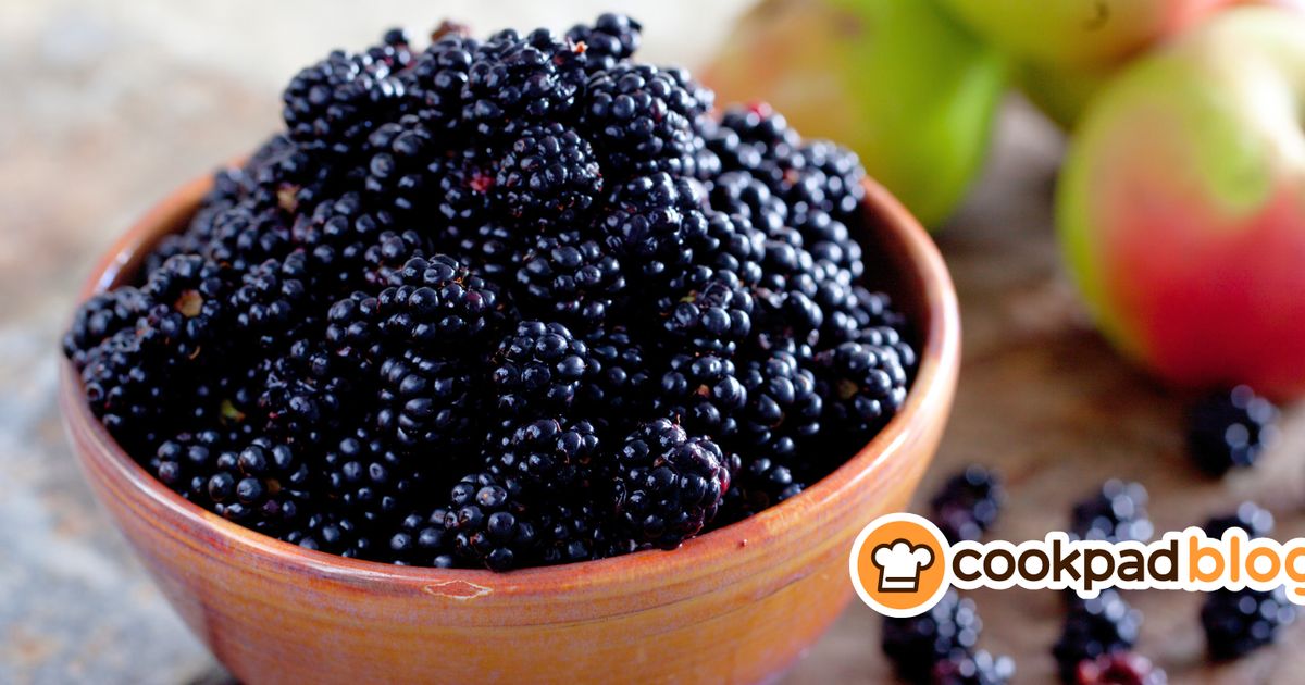 4 Wild Fruits to forage and cook with this fall 🍎🍂