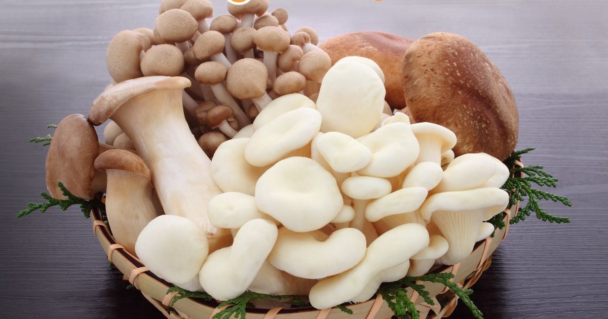 6 Types of Mushrooms and Delicious Dishes that are Popular in India