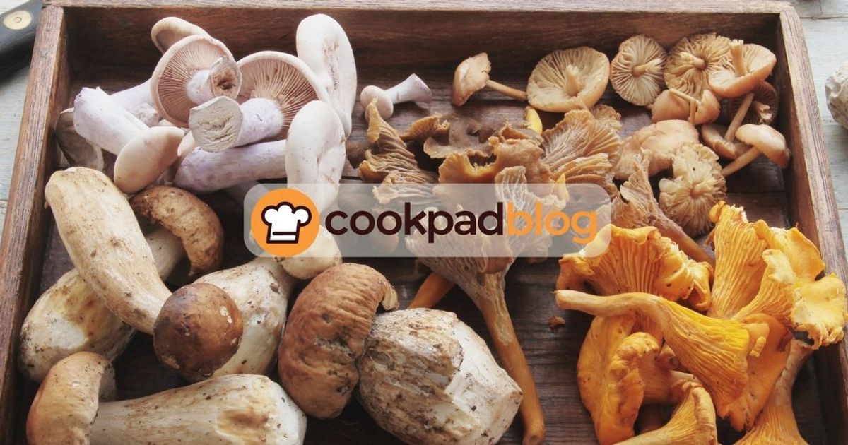 Comment cuisiner les champignons frais ? Conseils, astuces et recettes simples 🍄