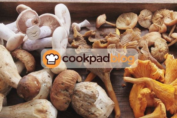 Comment cuisiner les champignons frais ? Conseils, astuces et recettes simples 🍄